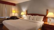 Top Calgary