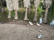 Top La Viñilla Top La Viñilla