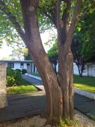 Cálida cabaña para 5 personas en Santa Clara del Mar