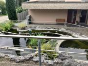 Top Oetwil an der Limmat