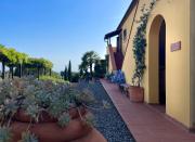 Top Riparbella Top Riparbella