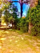 Chalet Corso ELegancia