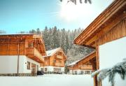 Luxury Chalets Gradenbach near Schladming