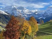 Apartment Untere Bühlstrasse 10 - EG by Interhome