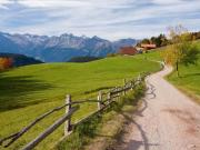 Larchwald Hafling - Wohnung Alpenrose