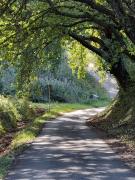 léden des Baronnies