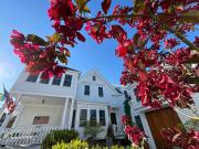 Top Provincetown