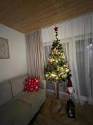 Top Wielgie Top Wielgie