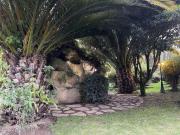 Top Santa Rosa de Viterbo