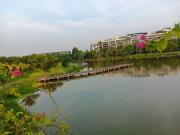 Top Hưng Yên