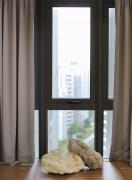 Top Johor Bahru
