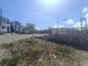 Top Pão de Açúcar