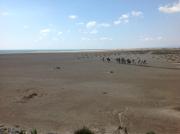 Superbe appartement vue mer et Pyrénées - Ayguades AY110-R06