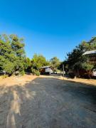 Top Linares Top Linares