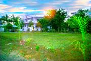 Top Sasan Gir