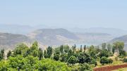 Top Panchgani