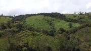 Top Vagamon
