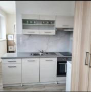 ApartmentAviatorBird