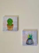 Top Cefalù Top Cefalù