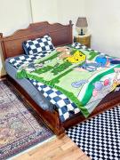 开罗富人区花园阳光公寓