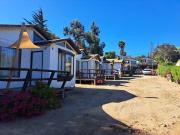 Top Pichidangui Top Pichidangui