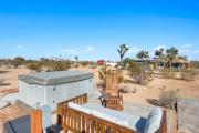 Top Joshua Tree