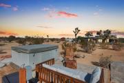 Top Joshua Tree
