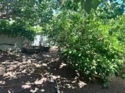 THE REAL CARTLEDGE AVE HOUSE ACCOMODATION, Whyalla