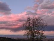 Country House Bucaneve