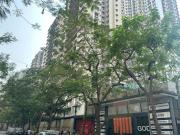 Top Mumbai