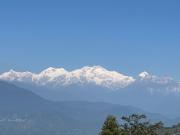Top Darjeeling