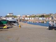 Top Buckie