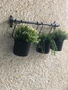 Top Tabaiba Top Tabaiba