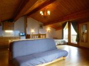 Chalet confortable pour 10 pers, animaux admis, Vallandry - FR-1-757-133