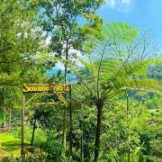 Top Bogor