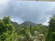 MUNNAR FALCUNS