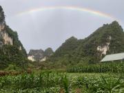 Triệu Chương Homestay