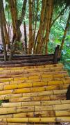 Top Munnar