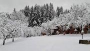 Top Verkhovyna