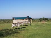 Olgosua Homestay Maasai Mara