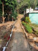 Top Marchula Top Marchula