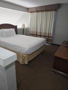 Top Dallas Top Dallas