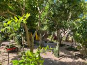 Top São Lourenço do Sul