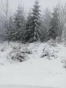 Top Johanngeorgenstadt