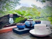 Chill & Delight Home