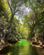 Ayongs Adventure Park