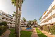 Top Orihuela Costa