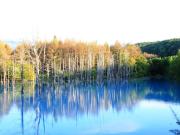 Top Furano Top Furano