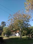 Casa de campo Dimedonde