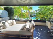 Noctua Flamingos 027